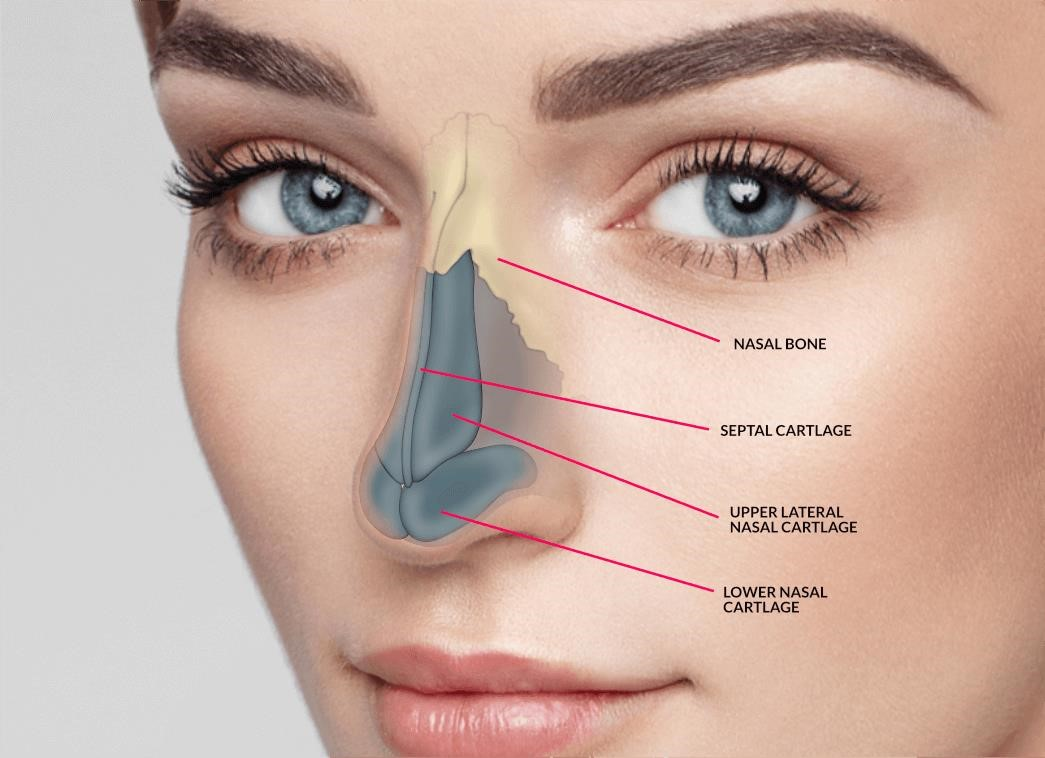 rhinoplasty surgery cost